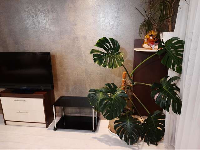 Апартаменты New apartments in Arcadia,sea view Одесса-5